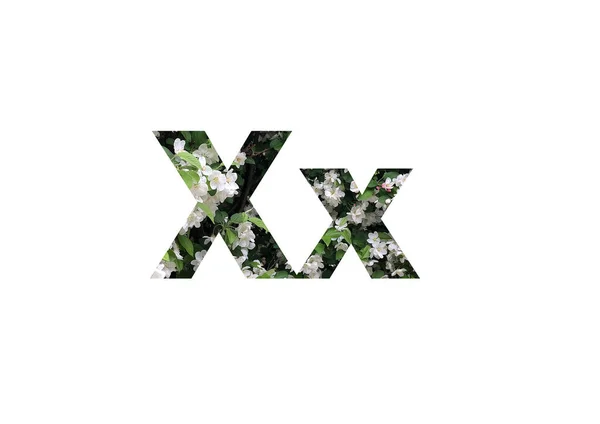 Background White Flowers Green Leaves Shot Cut Out Silhouette Letter — Stock Photo, Image