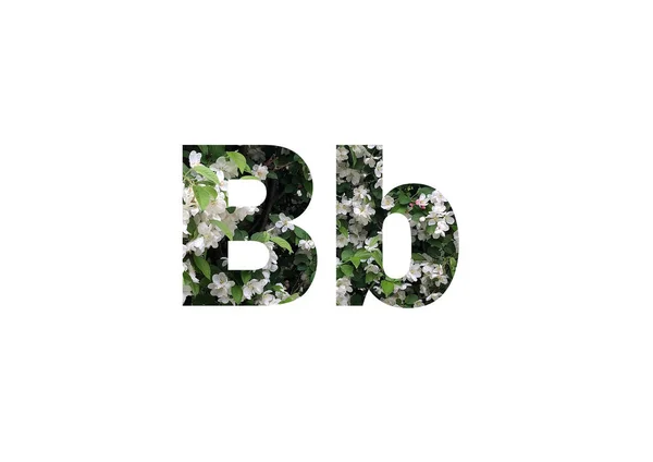 Yeşil Yapraklı Beyaz Çiçeklerin Arka Planı Harfinin Siluetini Delip Geçmiş — Stok fotoğraf