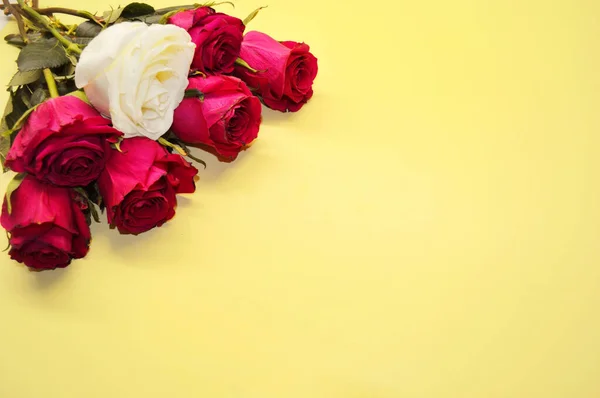 Букет Червоних Троянд Лежить Жовтому Фоні — стокове фото