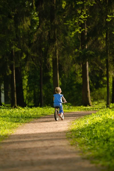 Menina montando uma bicicleta na floresta, vista para trás — Fotografia de Stock