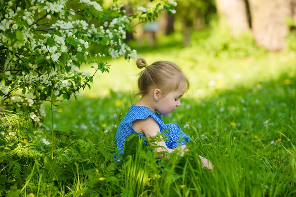 Adorable little girl sitting in the grass under blossoming apple — Stock Photo, Image