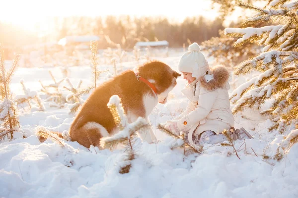 Beautiful little girl in winter forest with dog — Stock Photo, Image