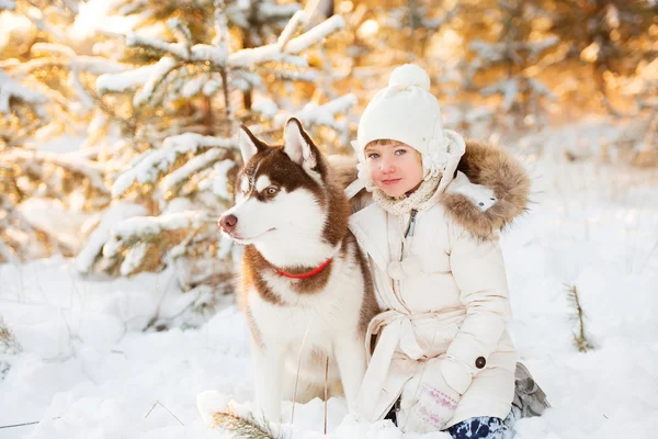 Beautiful little girl in winter forest with dog — Stock Photo, Image