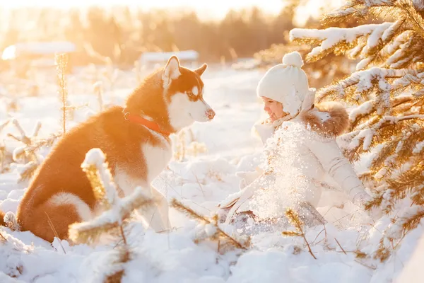 Beautiful little girl in winter forest with dog — Stock Photo, Image