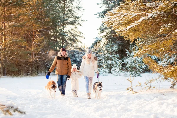 Happy family and husky dog in winter park — Stock Photo, Image