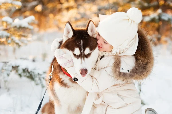 犬と冬の森の美しい少女 ストック画像