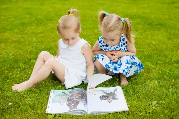 Zwei kleine Mädchen, die draußen im Gras liegen und ein Buch lesen. die lizenzfreie Stockbilder