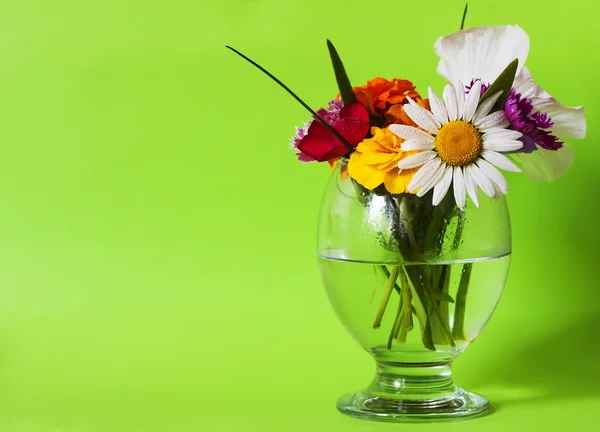 cam yeşil çiçekler