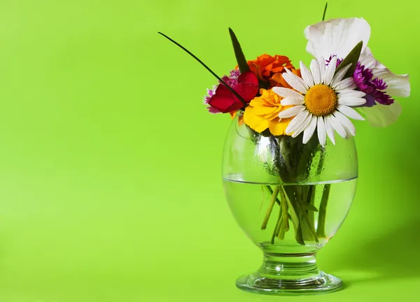 Flores frescas cortadas fotos de stock, imágenes de Flores frescas cortadas sin royalties | Depositphotos Flores frescas cortadas fotos de stock, imágenes de Flores frescas cortadas sin royalties | Depositphotos