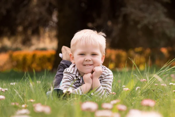 Niño, acostado en el parque, jugando con la margarita en la hierba —  Fotos de Stock