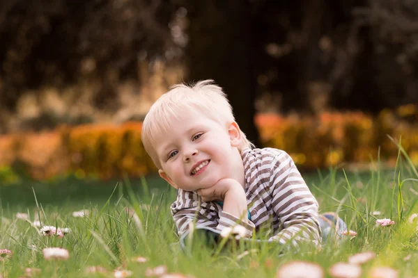 Petit garçon, couché dans le parc, jouant avec la marguerite sur l'herbe — Photo