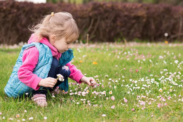Piękny szczęśliwy dziecko dziewczynka siedzi na zielonej łące z kwiaty stokrotka przyrody w parku — Zdjęcie stockowe