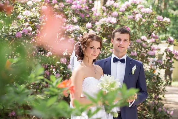 Bride and Groom at wedding Day walking Outdoors on spring nature. Bridal couple, Happy Newlywed woman and man embracing in green park. Loving wedding couple outdoor. — Stock Photo, Image