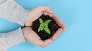 Peri masalı gibi genç bir adamın elleri, solunda yeşil bir filiz olan bir avuç toprağı mavi arka planda tutarak hareket ettiriyor..