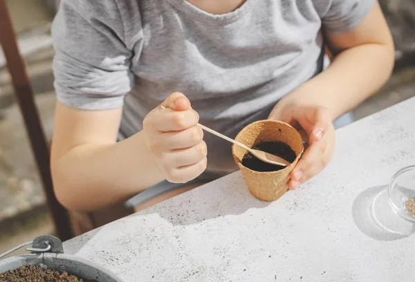 A caucasian girl plants seeds in a cardboard cup picking up the ground. — Foto de Stock