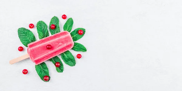 Currant Frozen Sherbet Wooden Stick Mint Leaves Fresh Berries Lie — Stock fotografie