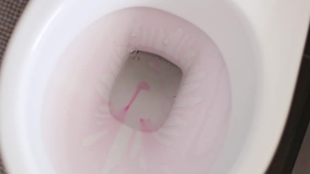 Red Disinfectant Detergent Flows Dirty Toilet Bowl Starting Cleaning Bathroom — Stock Video