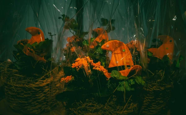 Hermosas Flores Una Cesta Mimbre Con Sombreros Halloween Naranja Embalan —  Fotos de Stock