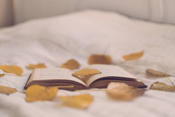 An open book lies on a white bed with yellow autumn poplar leaves around it, close-up side view with depth of field. Autumn vacation concept.