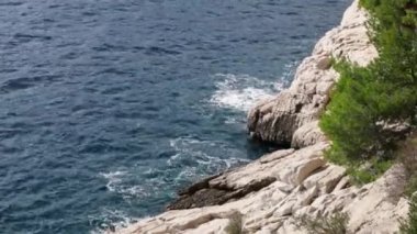 Akdeniz 'in dalgalarının güzel bir görüntüsü Fransa' nın güneyinde ağaçların büyüdüğü bir kayaya çarpıyor. Yavaş çekimde tepeden tırnağa bir manzara..