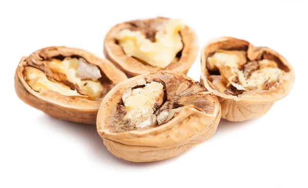 Walnuts opened on a white background — Stock Photo, Image