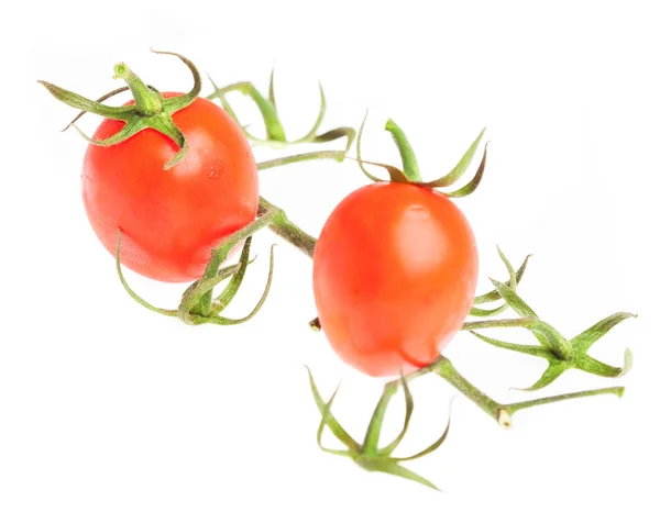 Cherry tomatoes — Stock Photo, Image