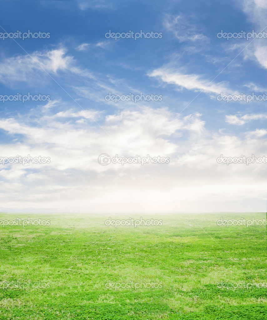 Meadow and blue sky