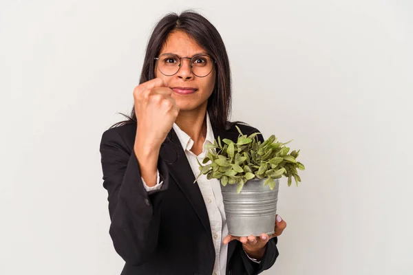 Joven Mujer Latina Negocios Sosteniendo Plantas Aisladas Sobre Fondo Blanco —  Fotos de Stock