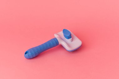 Köpek fırçası pembe arkaplanda izole edildi