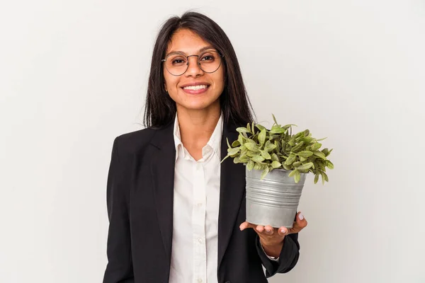 Joven Mujer Latina Negocios Sosteniendo Plantas Aisladas Sobre Fondo Blanco —  Fotos de Stock