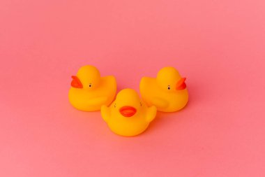 Pembe arka planda izole edilmiş plastik ördekler.
