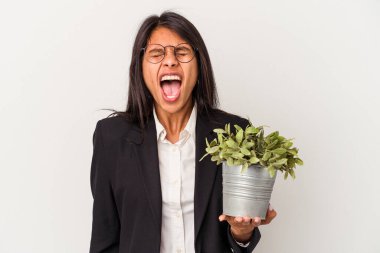 Beyaz arka planda bitkileri tutan genç Latin kadın çok sinirli ve agresif çığlıklar atıyor..