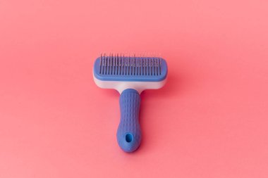 Köpek fırçası pembe arkaplanda izole edildi