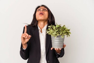 Beyaz arka planda izole edilmiş bitkileri tutan genç Latin kadın ağzı açık bir şekilde üst tarafı işaret ediyor..