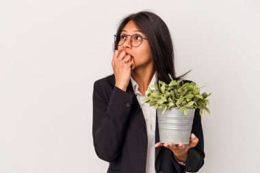 Beyaz arka planda izole edilmiş bitkileri tutan genç Latin kadın bir şeyin fotokopi alanına baktığını düşünerek rahatladı..