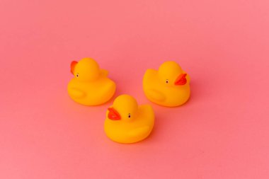 Pembe arka planda izole edilmiş plastik ördekler.