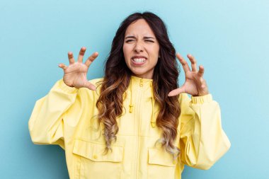 Mavi arka planda izole edilmiş genç Meksikalı kadın pençelerini kedi taklidi yaparken gösteriyor, agresif bir hareket..