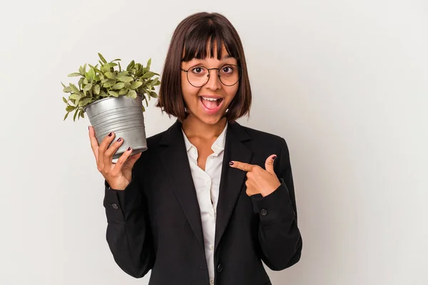 Jonge Gemengde Ras Zakenvrouw Houden Van Een Plant Geïsoleerd Witte — Stockfoto