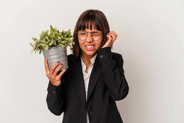 Joven Mujer Negocios Raza Mixta Sosteniendo Una Planta Aislada Sobre —  Fotos de Stock