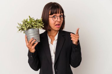 Genç melez bir iş kadını beyaz arka planda izole edilmiş bir bitki tutuyor. Bir fikri, ilham verici bir fikri var..