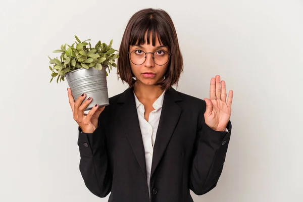 Joven Mujer Negocios Raza Mixta Sosteniendo Una Planta Aislada Sobre —  Fotos de Stock