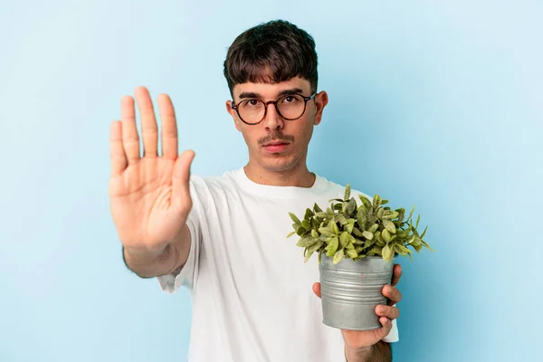 Młody Mieszany Człowiek Rasy Trzyma Roślinę Odizolowaną Niebieskim Tle Stojąc — Zdjęcie stockowe