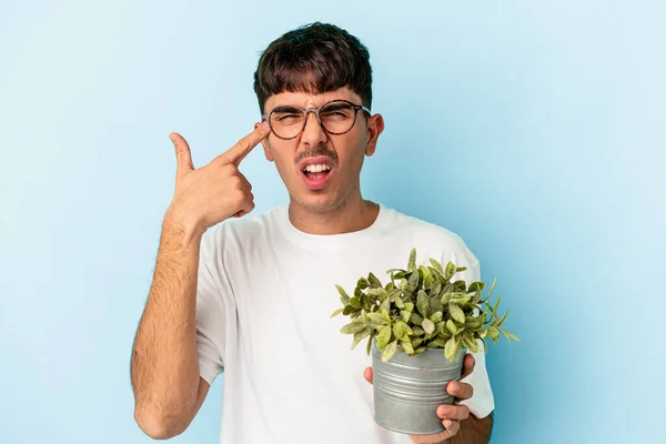 Młody Mieszany Człowiek Rasy Trzyma Roślinę Odizolowaną Niebieskim Tle Pokazując — Zdjęcie stockowe