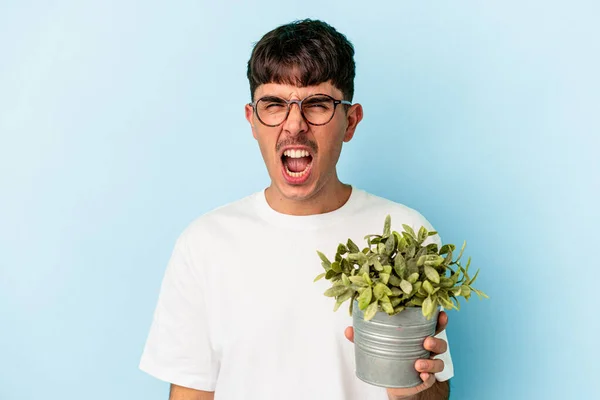 Młody Mieszane Rasy Człowiek Gospodarstwa Roślin Odizolowanych Niebieskim Tle Krzycząc — Zdjęcie stockowe
