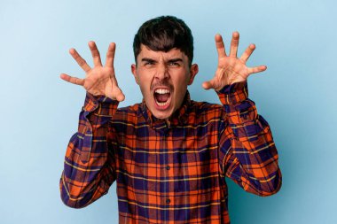 Mavi arka planda izole edilmiş genç melez bir adam pençelerini kedi taklidi yaparken gösteriyor, agresif bir hareket..