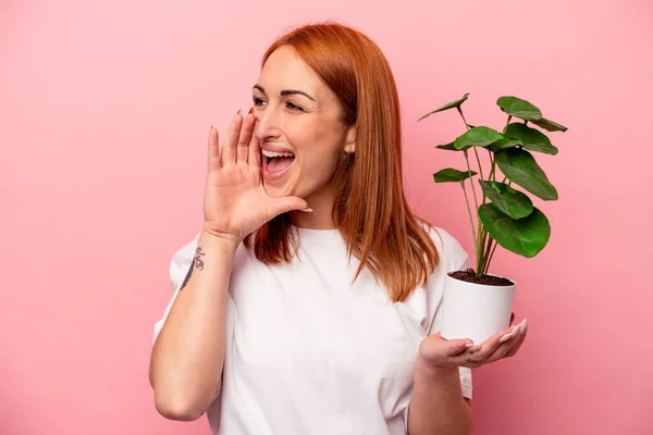 Jovem Caucasiana Segurando Uma Planta Isolada Sobre Fundo Rosa Jovem — Fotografia de Stock