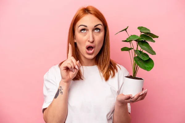 Ung Kaukasisk Kvinna Som Håller Växt Isolerad Rosa Bakgrund Ung — Stockfoto