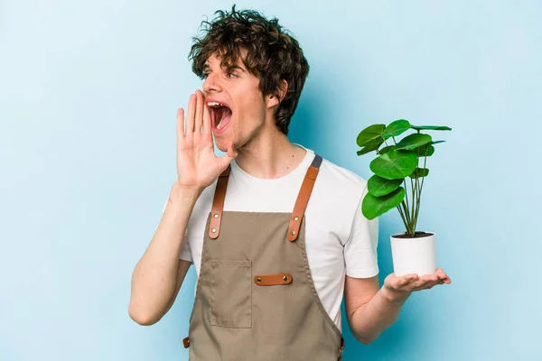 Νεαρός Κηπουρός Καυκάσιος Κρατώντας Ένα Φυτό Απομονωμένο Μπλε Φόντο Φωνάζοντας — Φωτογραφία Αρχείου
