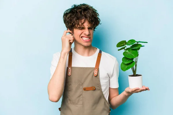 Jonge Tuinman Blanke Man Met Een Plant Geïsoleerd Blauwe Achtergrond — Stockfoto