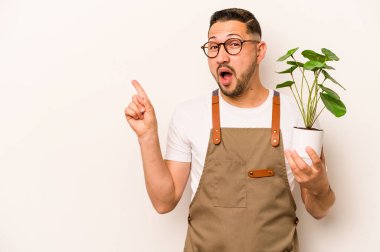 İspanyol bahçıvanın elinde beyaz arka planda izole edilmiş bir bitki var.